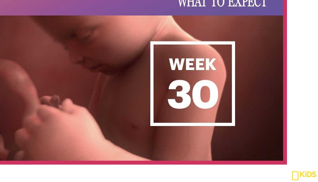 7th Month's development