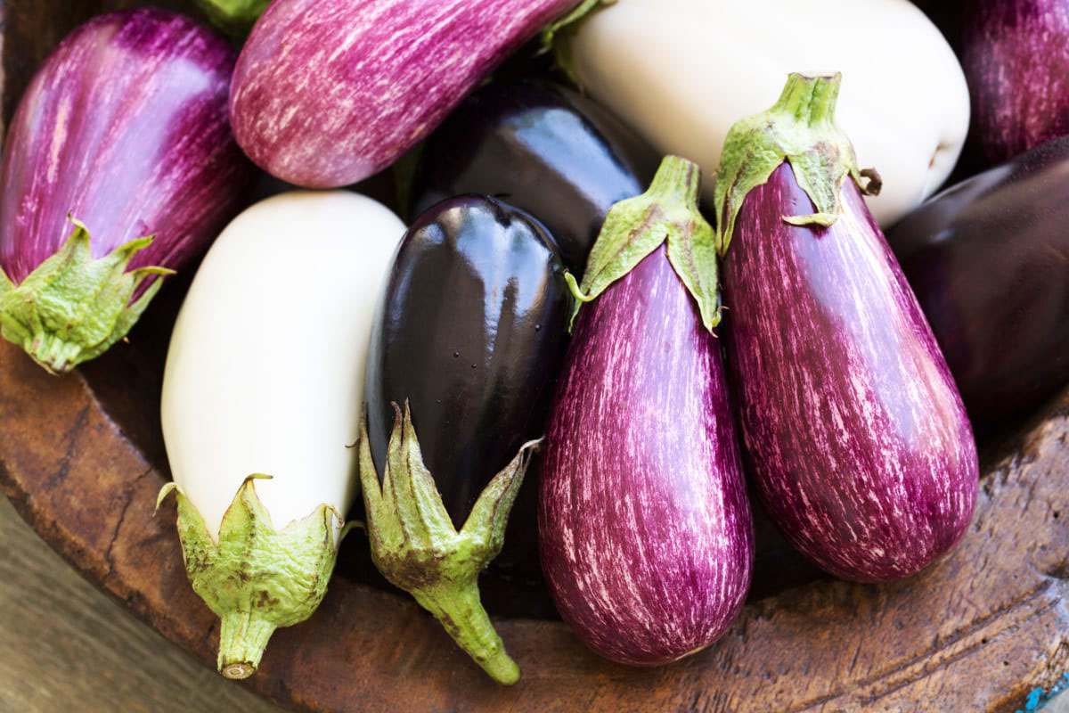 Can You Eat Eggplant When Pregnant
