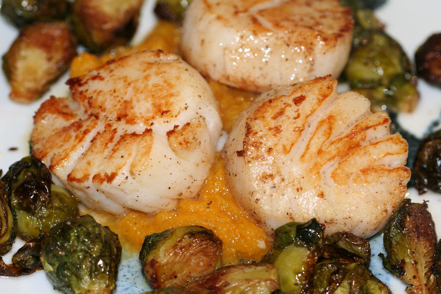 what is scallop