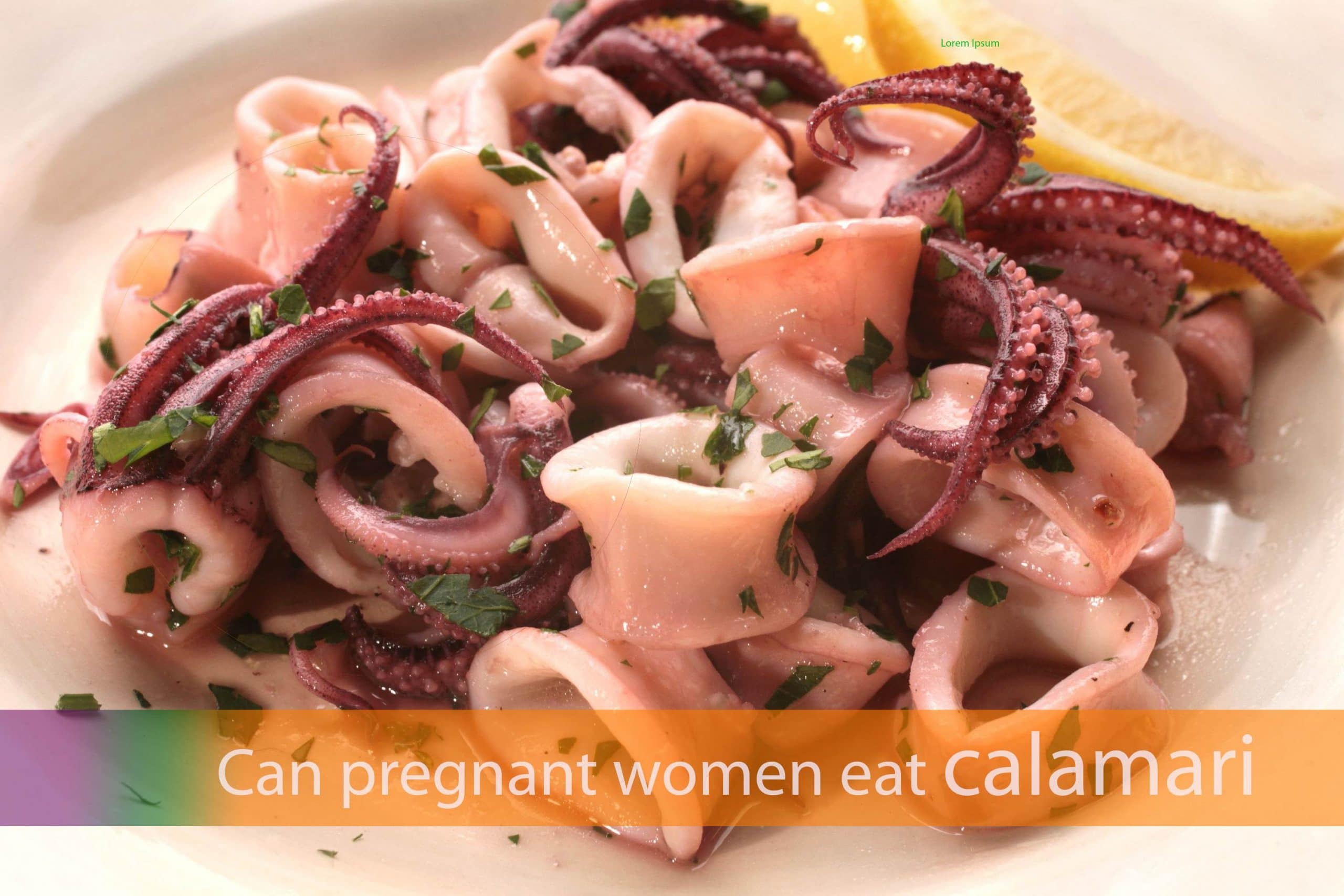 Can pregnant women eat calamari - How to cook? | kidschildren Can pregnant women eat calamari - How to cook? | kidschildren